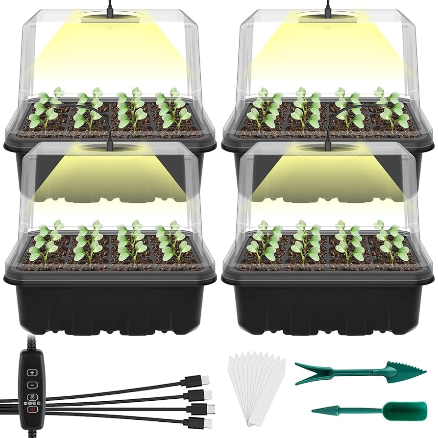 【札付き】プリチワ　ぼのぼのさん苗　ポットごと発送 札付き】プリチワぼのぼのさん苗ポットごと発送